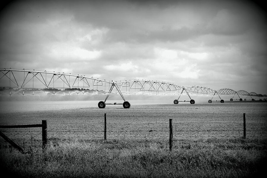 Field Irrigation B W Photograph by Sheri McLeroy