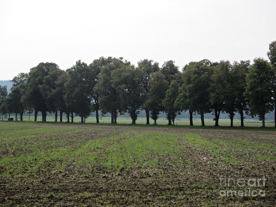 Field near Munich Photograph by Chani Demuijlder