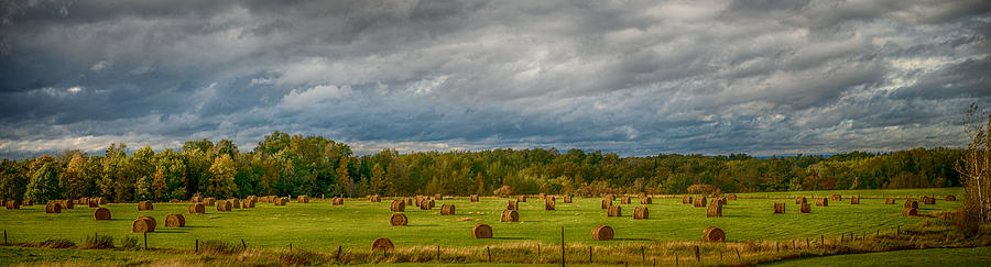 Field Of Bales Photograph by Paul Freidlund