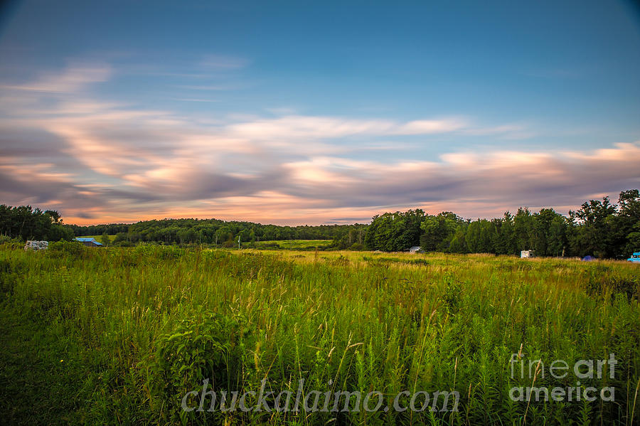 Field Of Dreams Photograph by Chuck Alaimo