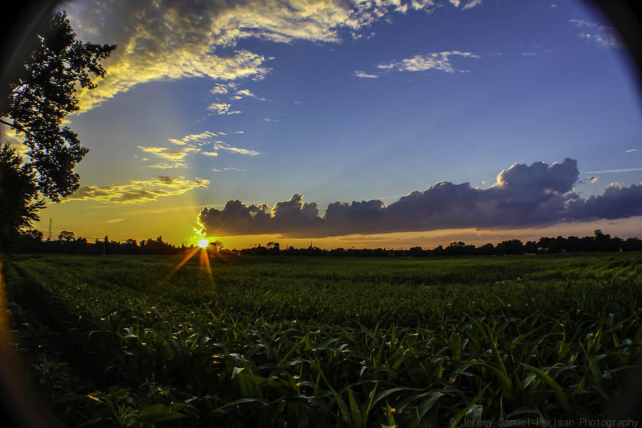 Field of dreams Photograph by Jeremy Perlman Fine Art America