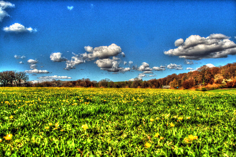 Field Of Dreams Photograph by Doc Braham