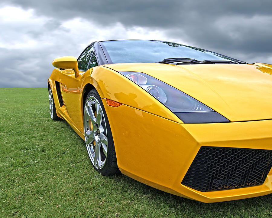 Field of Gold - Lamborghini - Horizontal Photograph by Gill Billington
