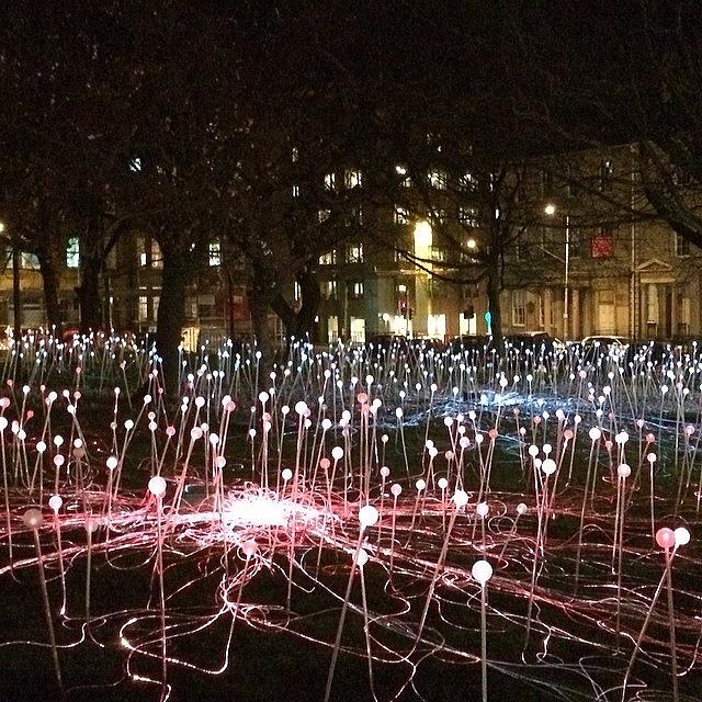 Field Of Lights. Edinburgh Photograph by Sarah Drummond