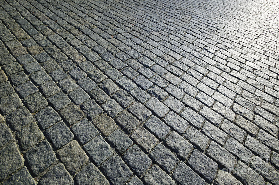 Field of paved bricks Photograph by Don Landwehrle