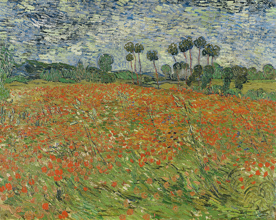 Flower Painting - Field Of Poppies, Auvers-sur-oise, 1890 by Vincent van Gogh