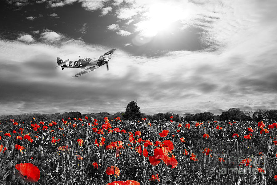 Field of Red Digital Art by Airpower Art
