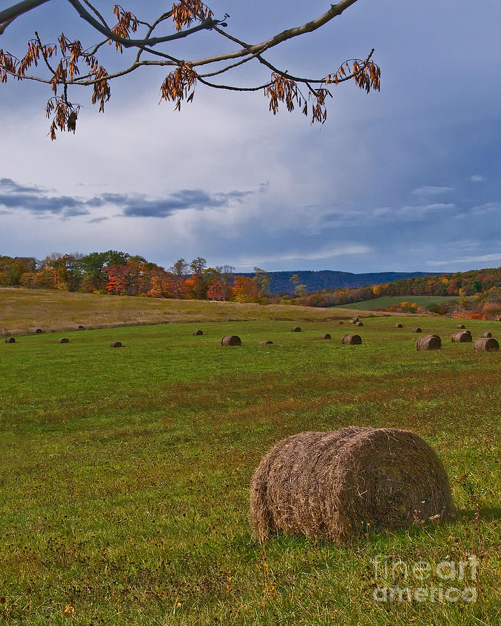 Field of Round Bales Photograph by Timothy Flanigan