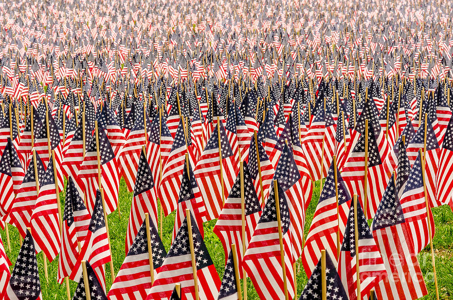 Field of US Flags Photograph by Mike Ste Marie