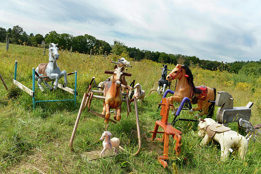 Field Of Vintage Rocking Horses Photograph by Paul Marotta