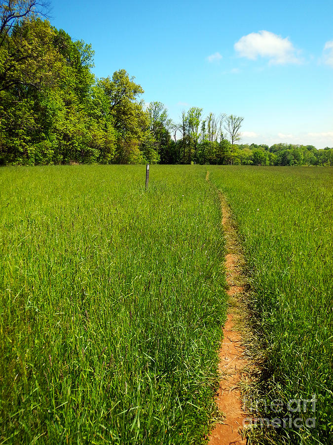 Field Path Photograph by Glenn Gordon