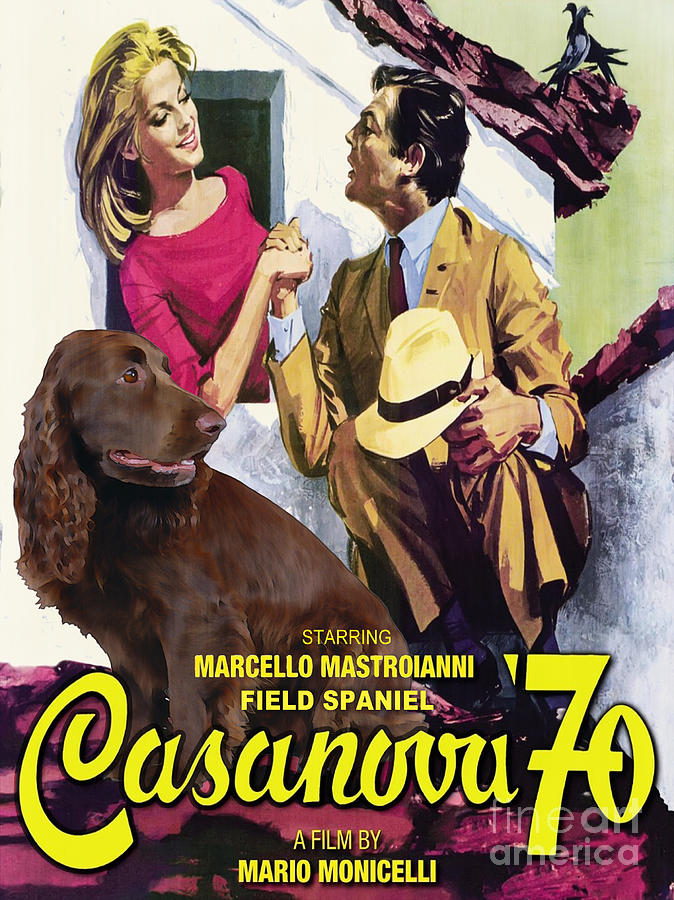 Field Spaniel Art Canvas Print - Casanova Movie Poster Painting by Sandra Sij