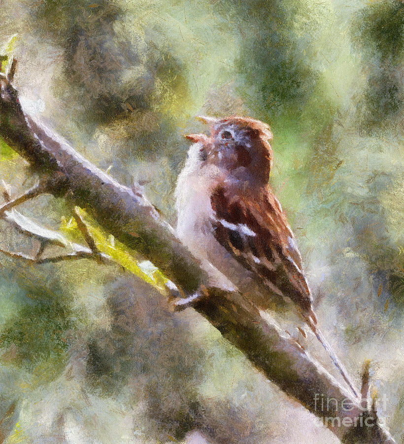 Field Sparrow Sings Photograph by Kerri Farley