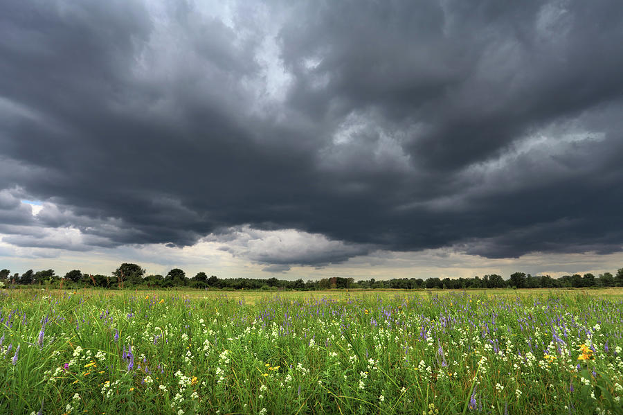 Field With Flowers And Rainy Clouds Photograph by Sergiy Trofimov Photography
