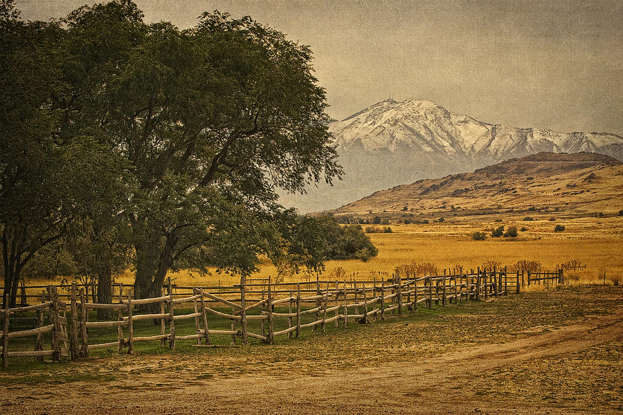 Fielding Garr Ranch Photograph by Priscilla Burgers