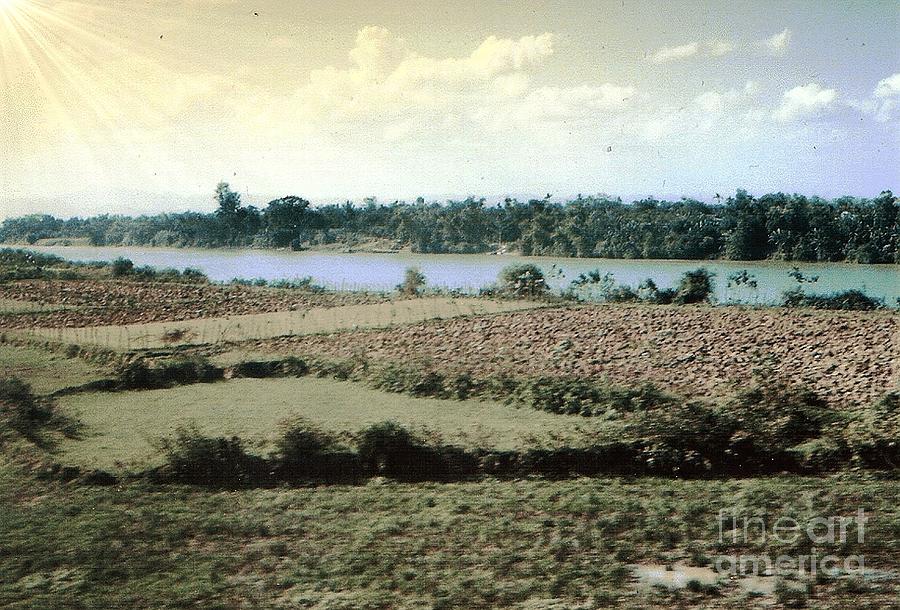 Fields along the Cua Viet River Photograph by Charles Robinson