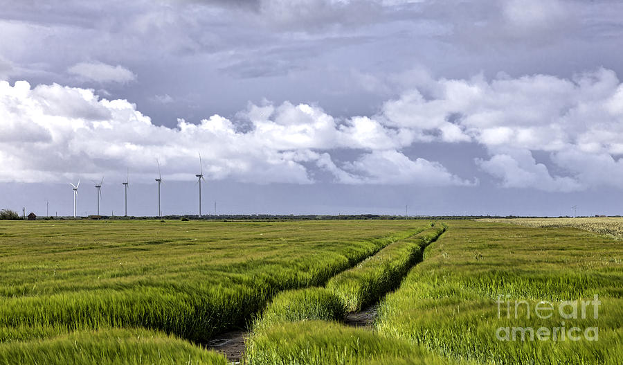 Summer Photograph - Fields and wind turbines at Stadil fjord Denmark by Frank Bach