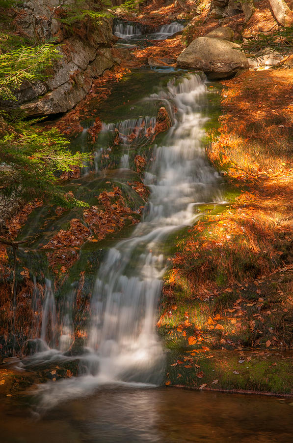 Fields Brook in Autumn Photograph by Brenda Jacobs