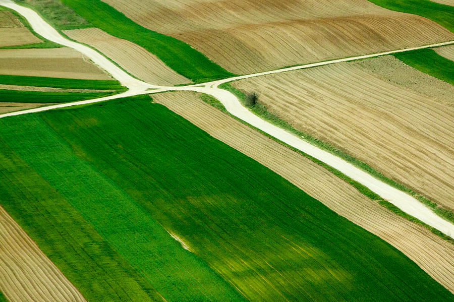 Fields in Spring Photograph by Davorin Mance