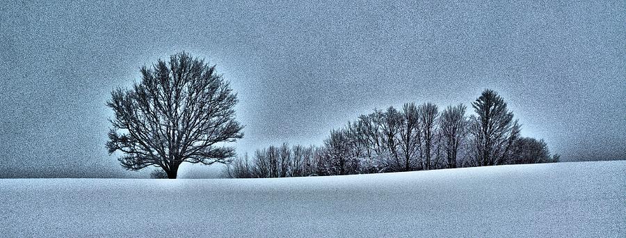 Fields in Winter Photograph by Douglas Pike