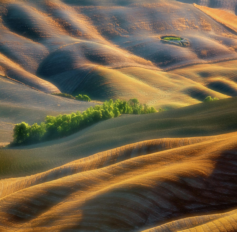 Landscape Photograph - Fields by Krzysztof Browko