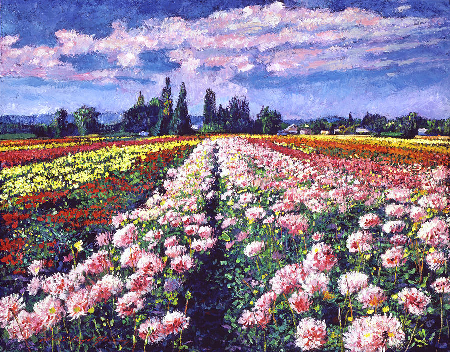 Fields of Dahlias Painting by David Lloyd Glover