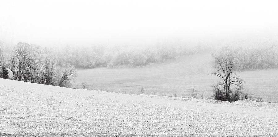 Fields of Frost Photograph by Dale Stillman