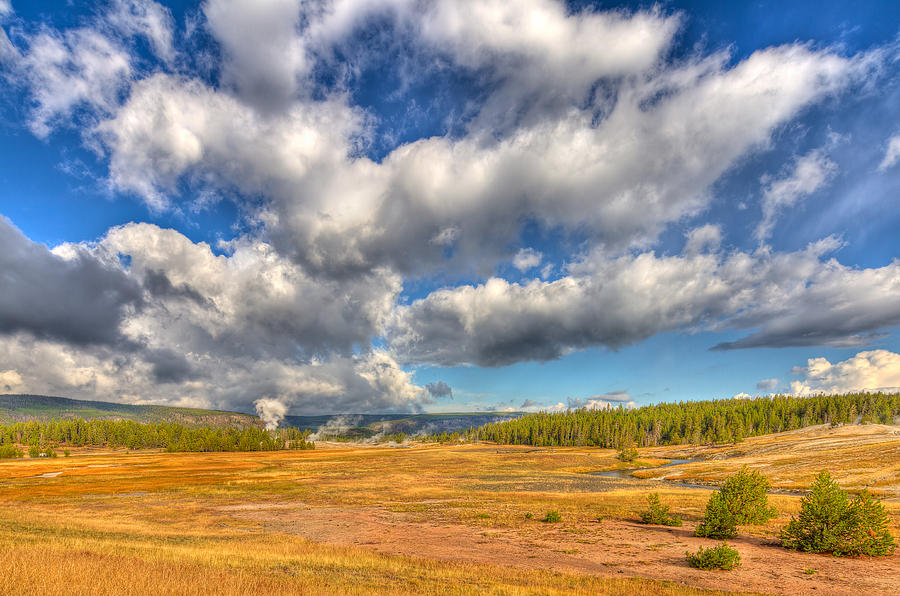 Yellowstone National Park Photograph - Fields of Gold in Yellowstone by Jeff Donald
