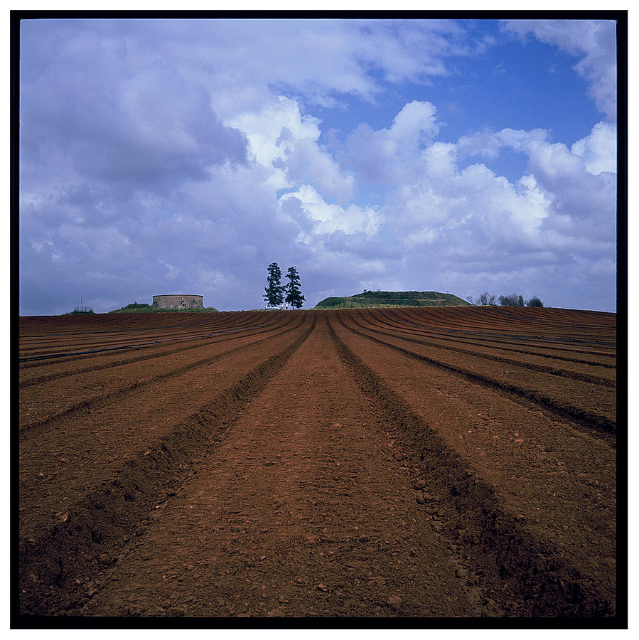 Fields of Hod Hasharon Photograph by Dubi Roman