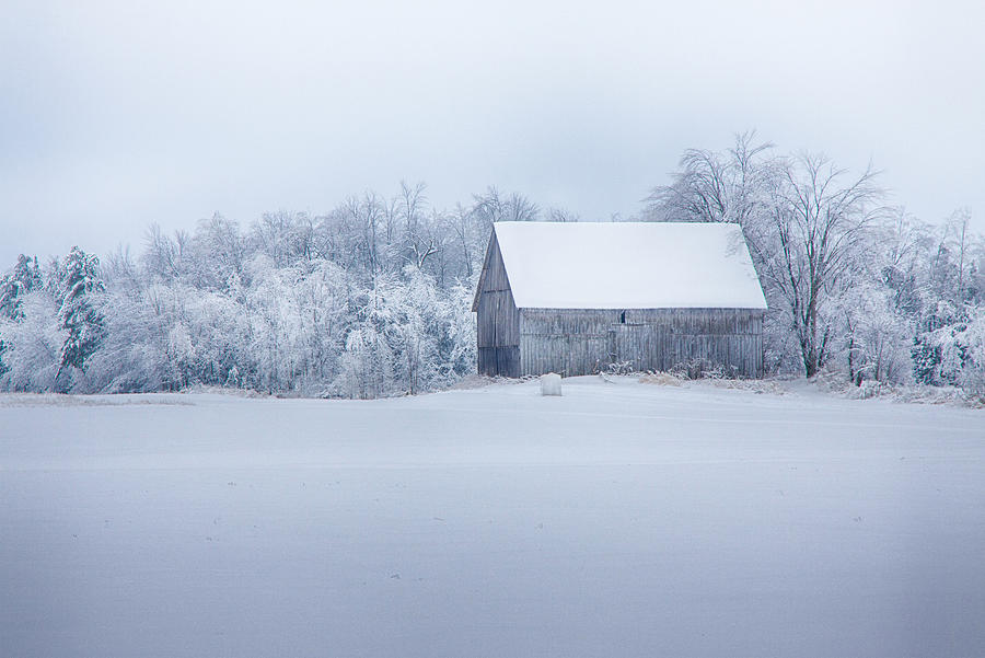 Landscape Photograph - Fields of white by Jeff Folger
