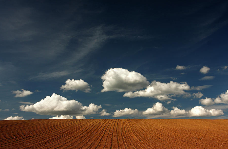 Fields With Clouds Photograph by Tozofoto