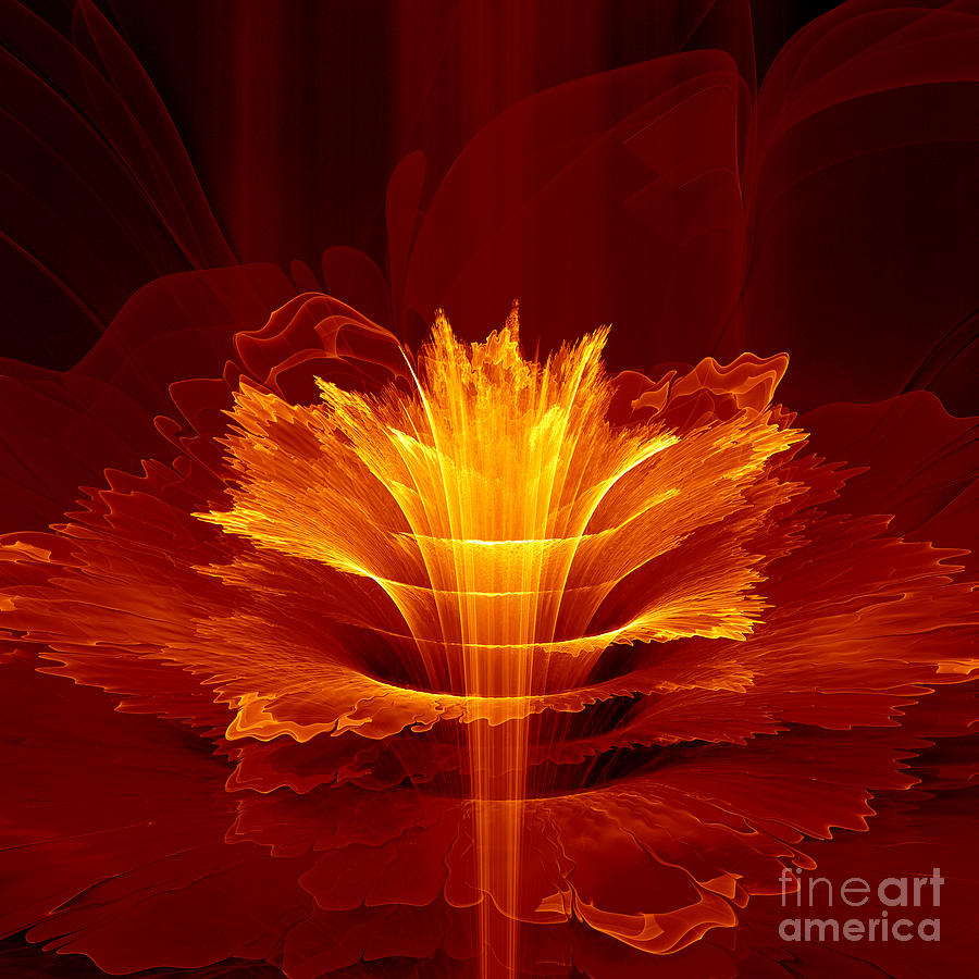 Fiery abstract blossom Digital Art by Martin Capek