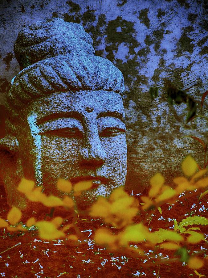 Buddha Photograph - Fiery Buddha by Bobbie Barth