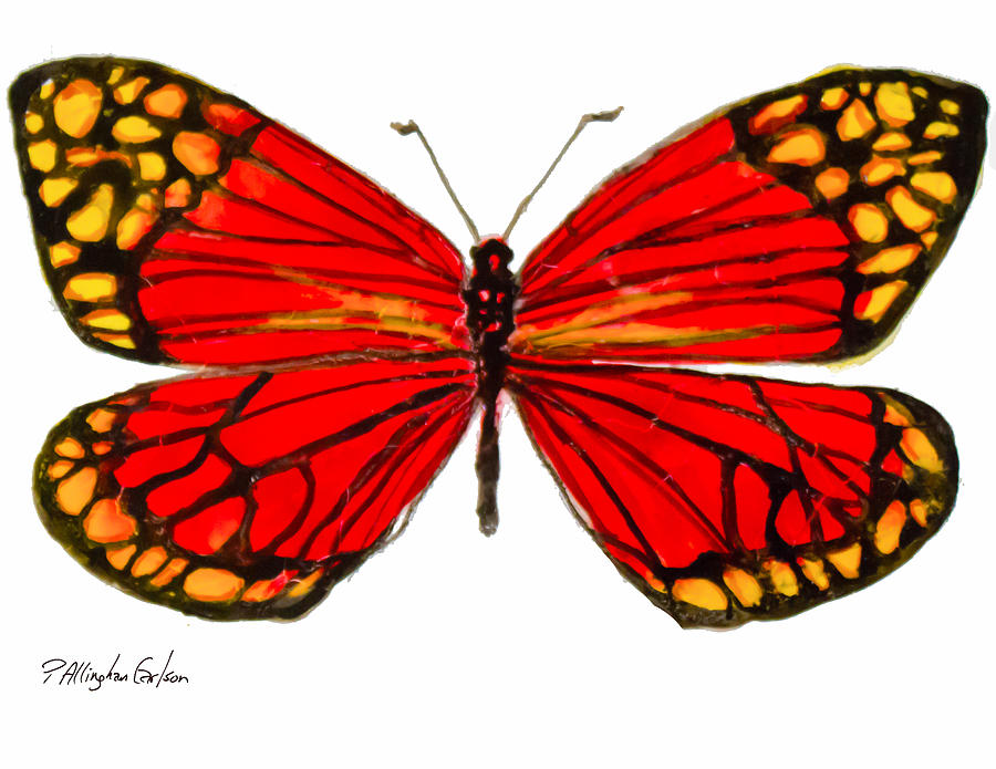 Fiery Butterfly Mixed Media by Patricia Allingham Carlson