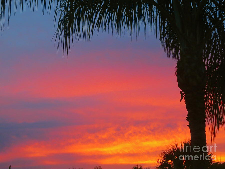 Fiery Florida Sunset 1 Photograph by Robert Birkenes