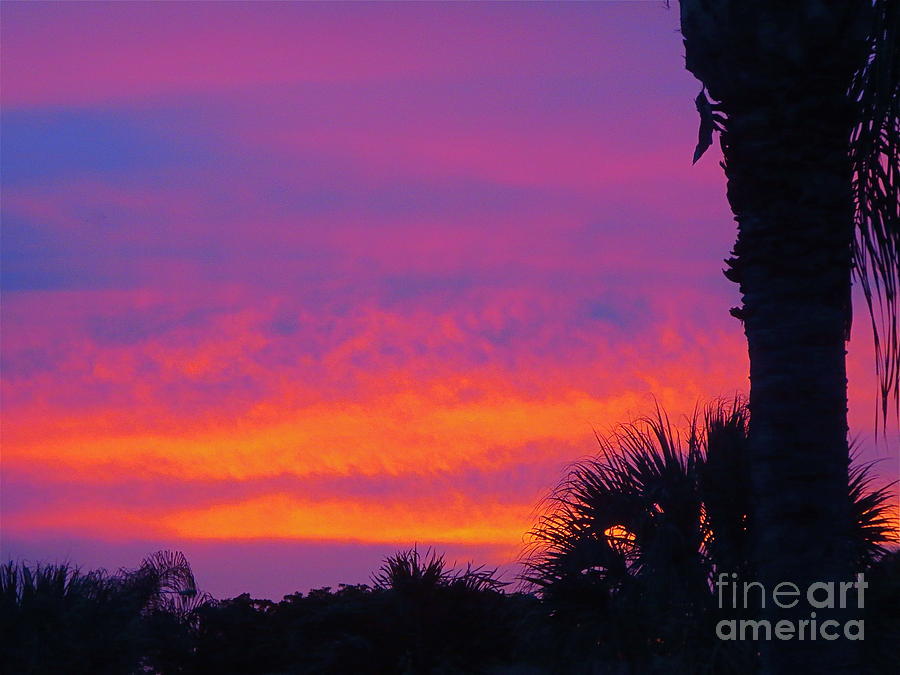 Fiery Florida Sunset 3 Photograph by Robert Birkenes