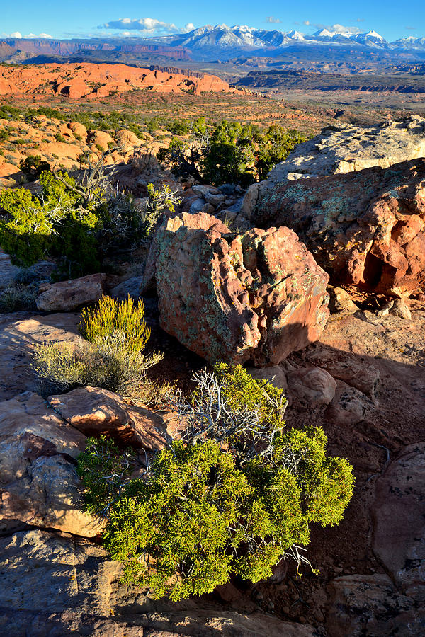 Fiery Furnace and the La Sal Photograph by Ray Mathis