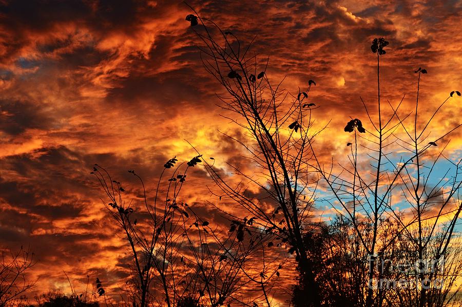 Fall Photograph - Fiery October Sky by Sharon L Stacy