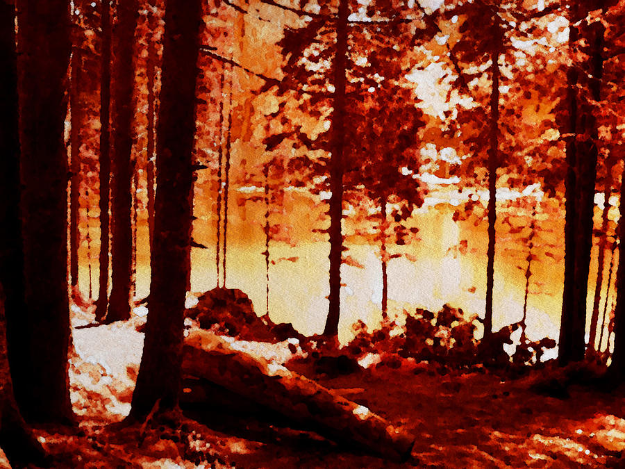 Fiery Red Landscape Digital Art by Femina Photo Art By Maggie