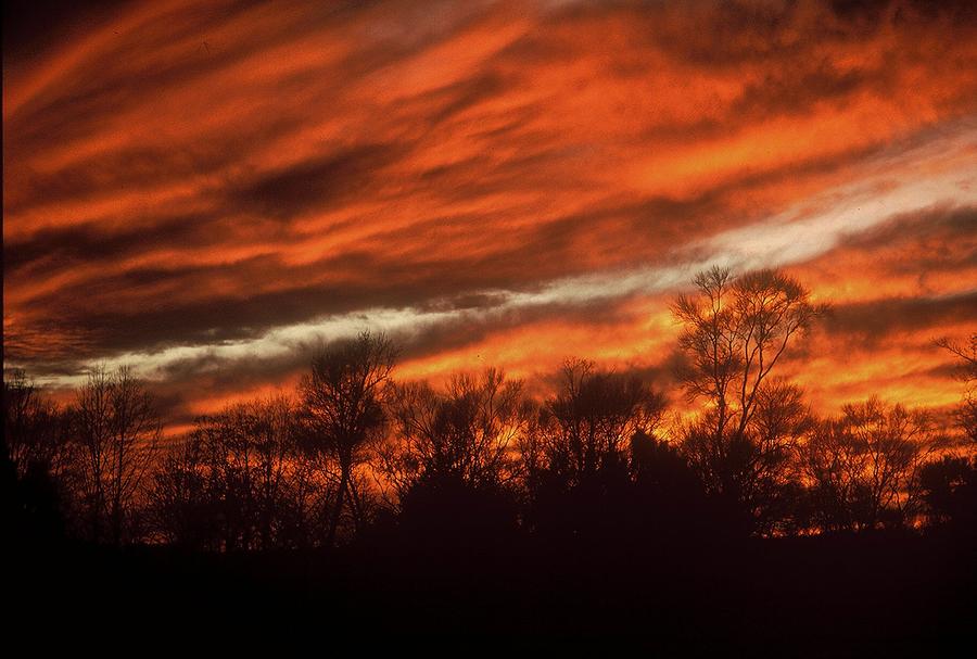 Fiery Sky Photograph by Rodney Lee Williams