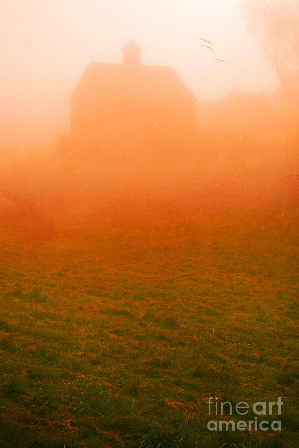 Fiery Sunrise on the farm Photograph by Edward Fielding