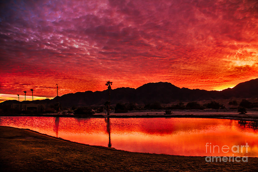 Fiery Sunrise Photograph by Robert Bales