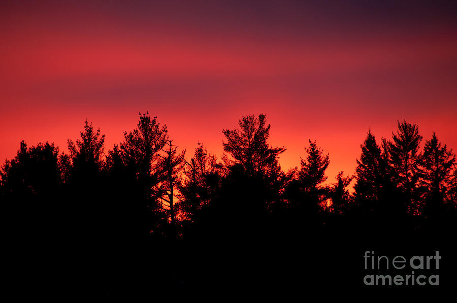 Fiery Sunset Photograph by Cheryl Baxter