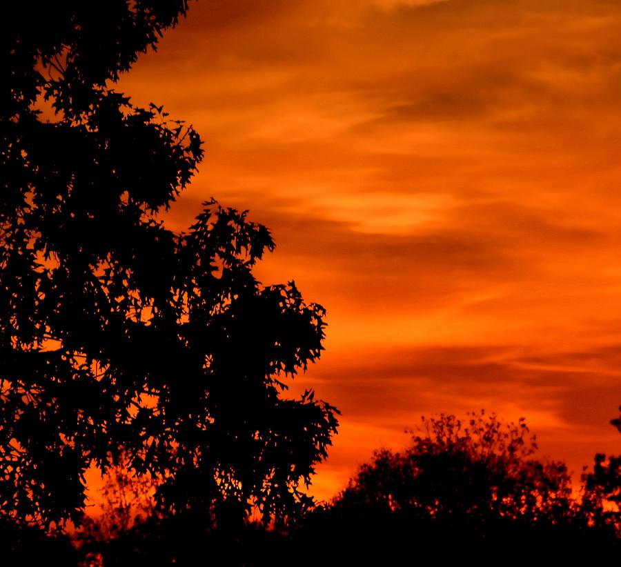 Fiery Sunset Photograph by Deena Stoddard
