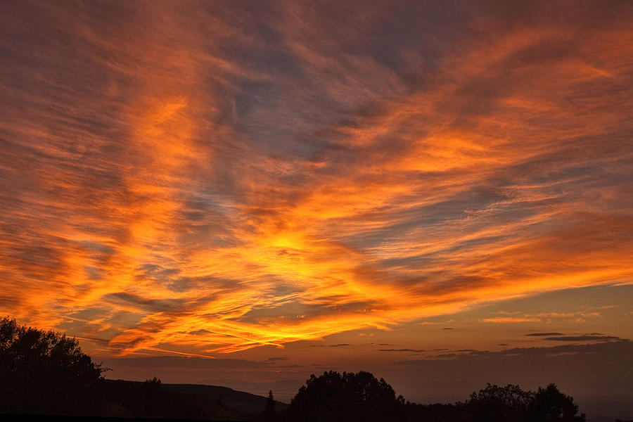Fiery Sunset Photograph by Diana Powell