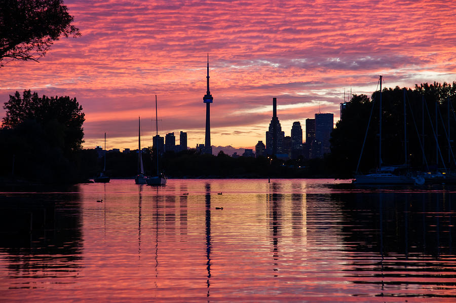 Fiery Sunset - Downtown Toronto Skyline with Sailboats Photograph by Georgia Mizuleva