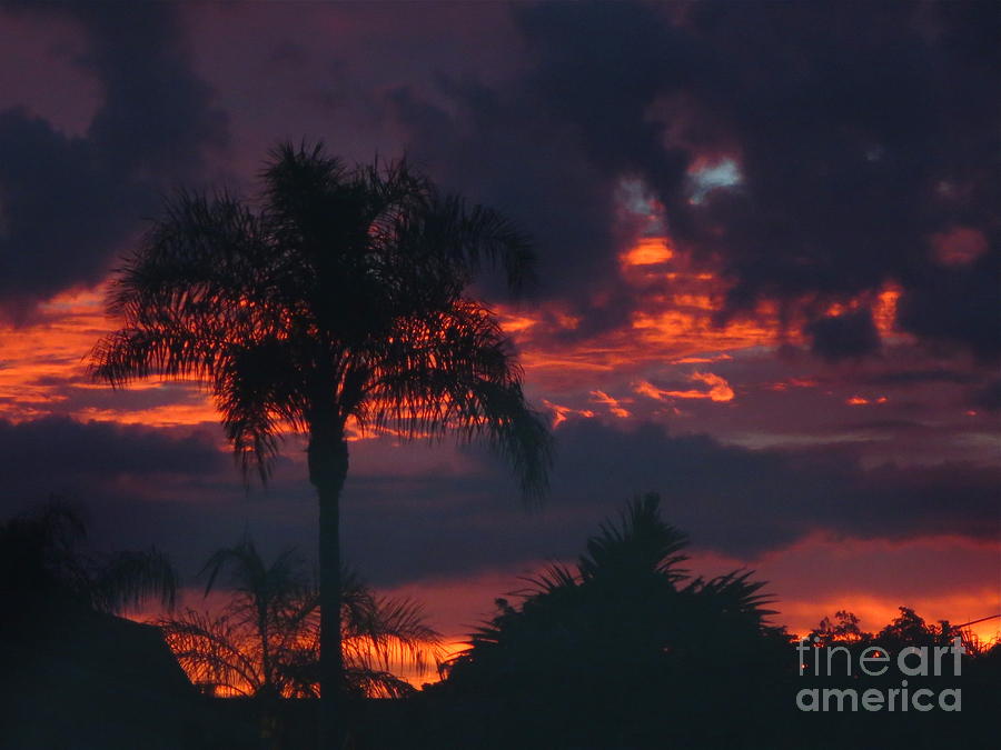 Fiery Sunset in Florida Photograph by Robert Birkenes