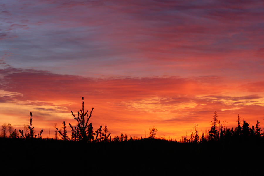 Fiery Sunset Photograph by Lynne McQueen
