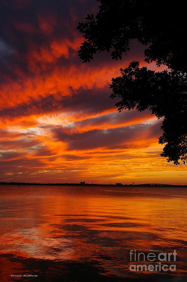 Fiery Sunset Photograph by Tannis  Baldwin