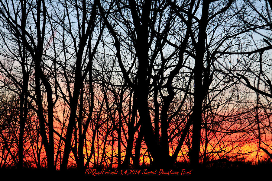 Fiery Woodlands Sunset Photograph by PJQandFriends Photography